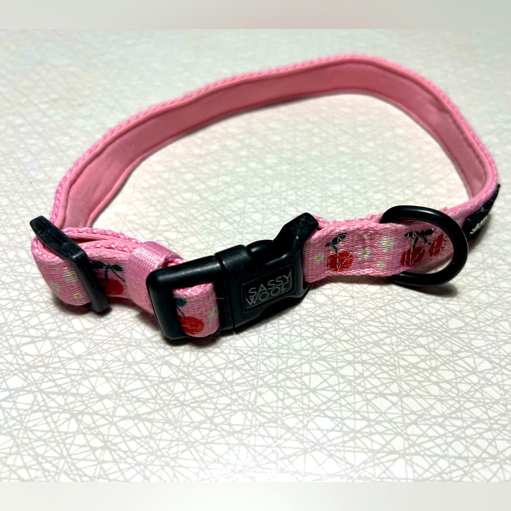 Sassy Woof Dog Collar